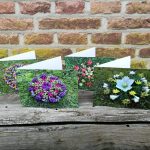 Natuurmandalakaarten serie A
