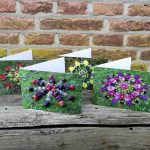 Natuurmandalakaarten serie B